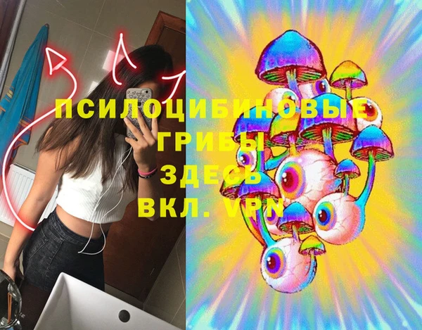 ПСИЛОЦИБИНОВЫЕ ГРИБЫ Алзамай