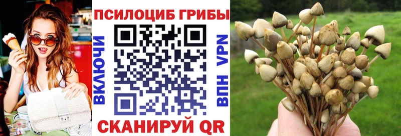 Галлюциногенные грибы Magic Shrooms  маркетплейс Telegram  Тында 